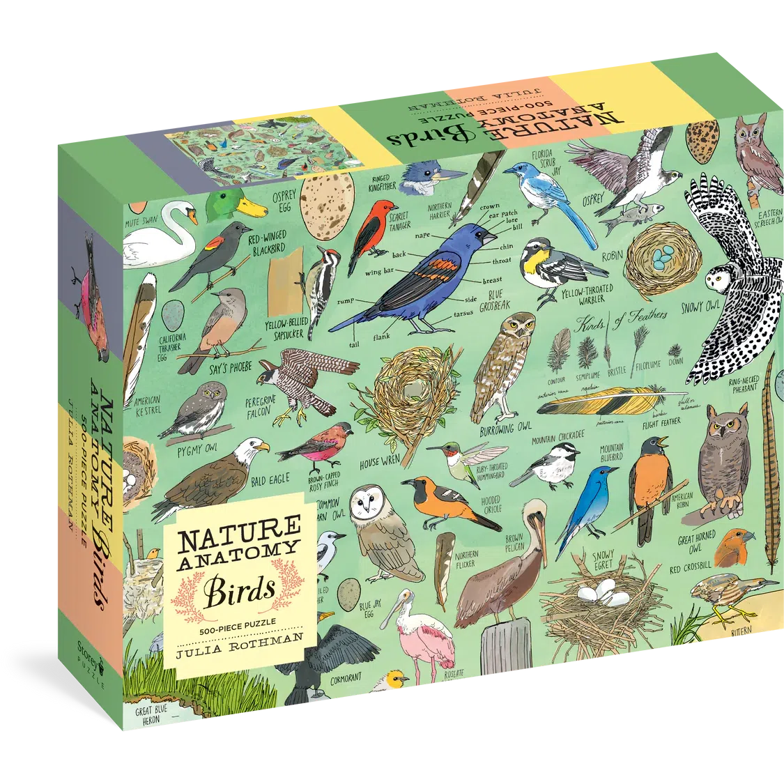 500 PC PUZZLE | NATURE ANATOMY: BIRDS-Puzzle-HACHETTE BOOK GROUP-Coriander