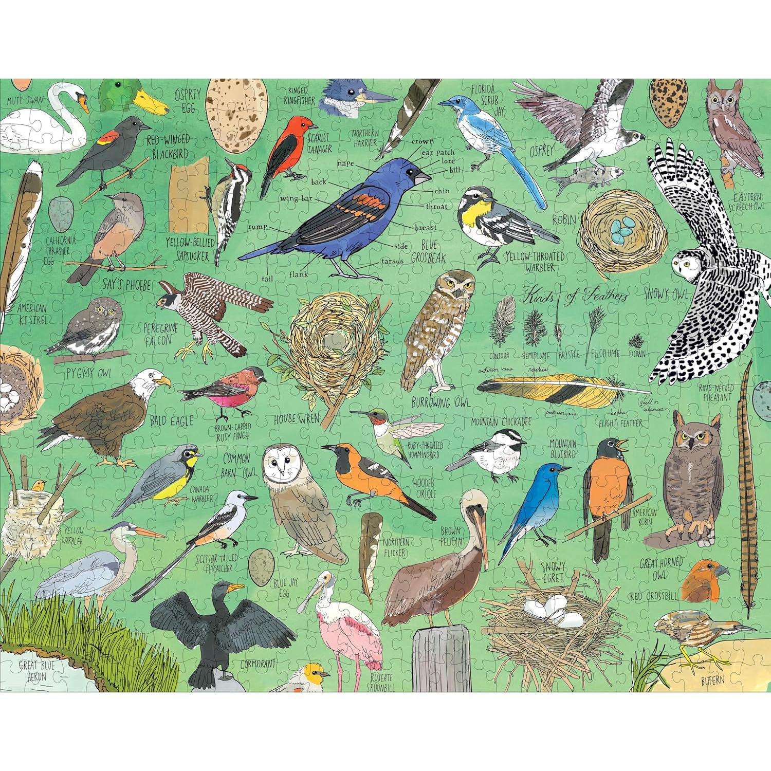 500 PC PUZZLE | NATURE ANATOMY: BIRDS-Puzzle-HACHETTE BOOK GROUP-Coriander
