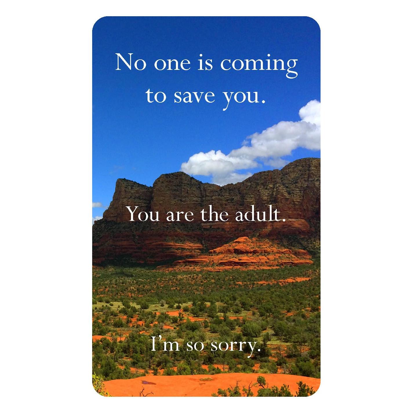 DECK OF 52 CARDS | DISAPPOINTING AFFIRMATIONS-Books & Stationery-RAINCOAST-Coriander