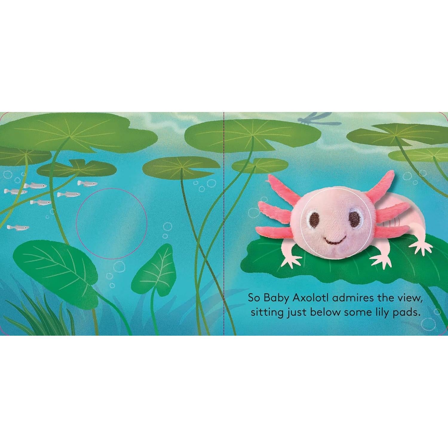 FINGER PUPPET BOOK | BABY AXOLOTL-Books & Stationery-RAINCOAST-Coriander