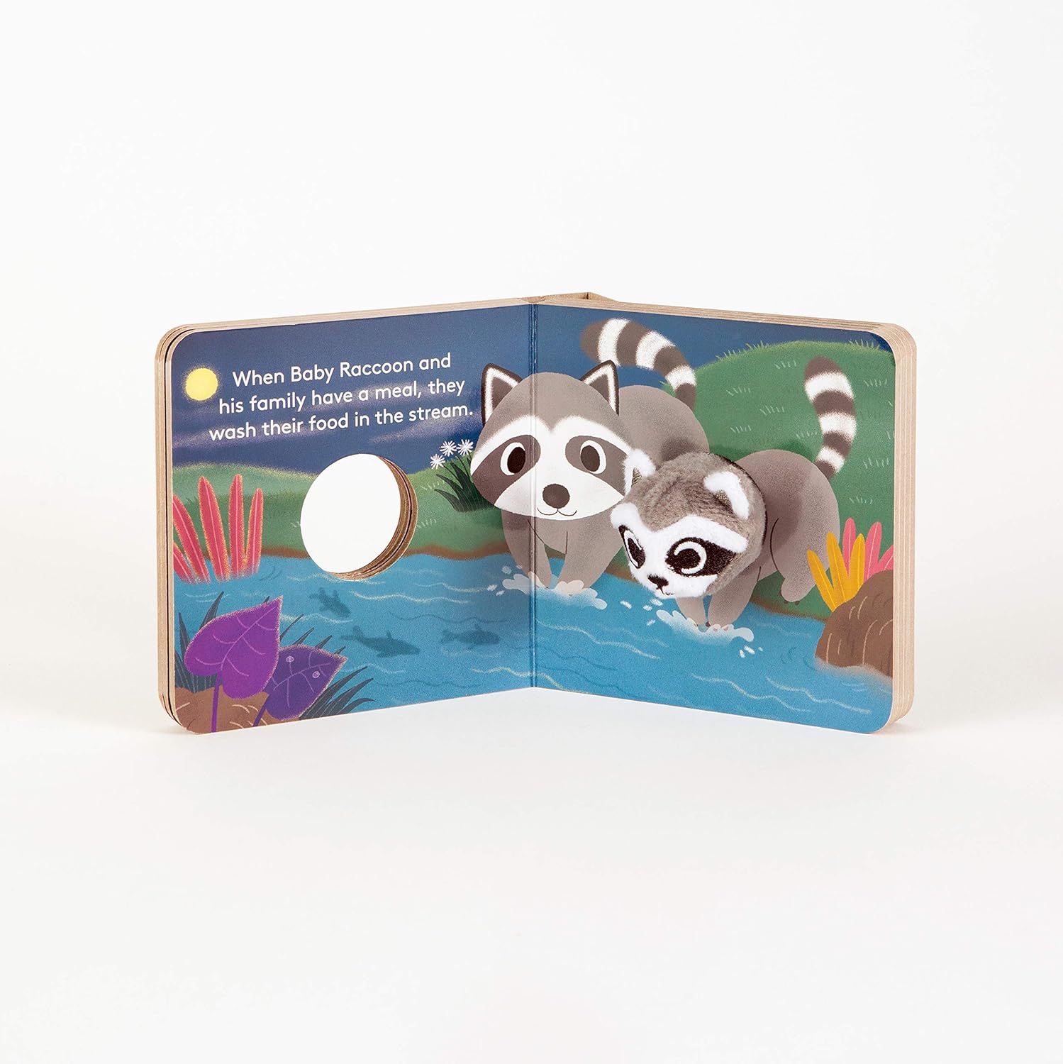 FINGER PUPPET BOOK | BABY RACCOON-Books & Stationery-RAINCOAST-Coriander
