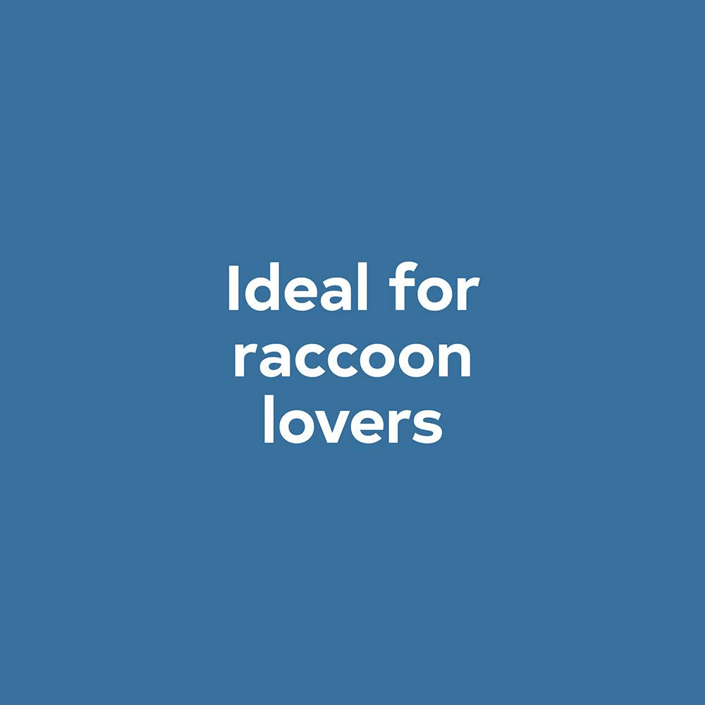 FINGER PUPPET BOOK | BABY RACCOON-Books & Stationery-RAINCOAST-Coriander