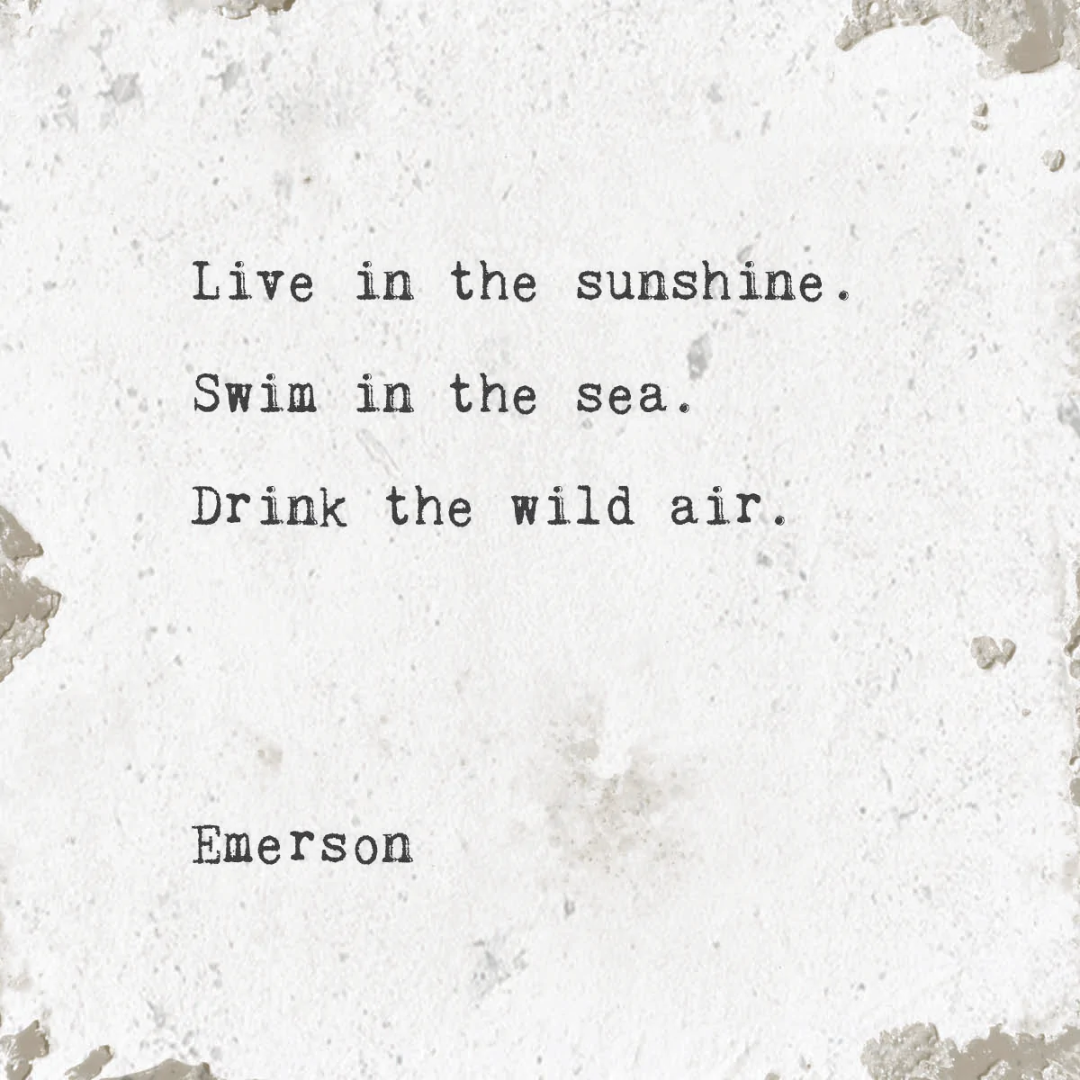 MARBLE COASTER | LIVE IN THE SUNSHINE-Coasters-CEDAR MOUNTAIN-Coriander