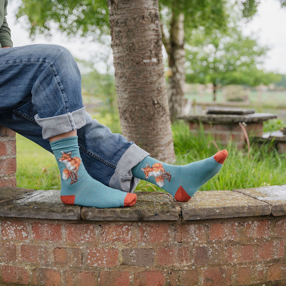 MEN'S SOCKS | BRIGHT EYED & BUSHY TAILED FOX-Socks & Footwear-WRENDALE DESIGNS-Coriander