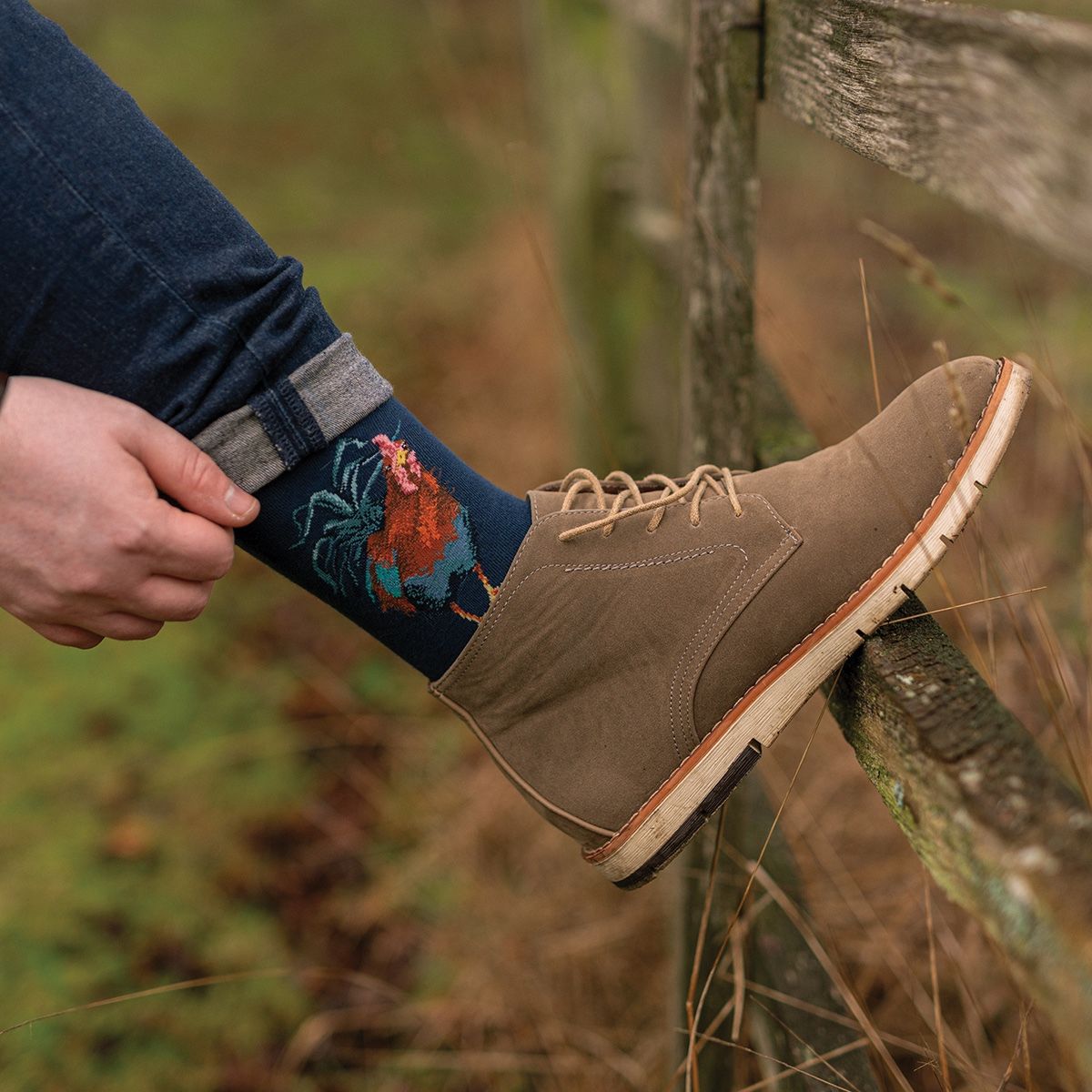 MEN'S SOCKS | COCKEREL COLOURS OF THE RAINBOW-Socks & Footwear-WRENDALE DESIGNS-Coriander