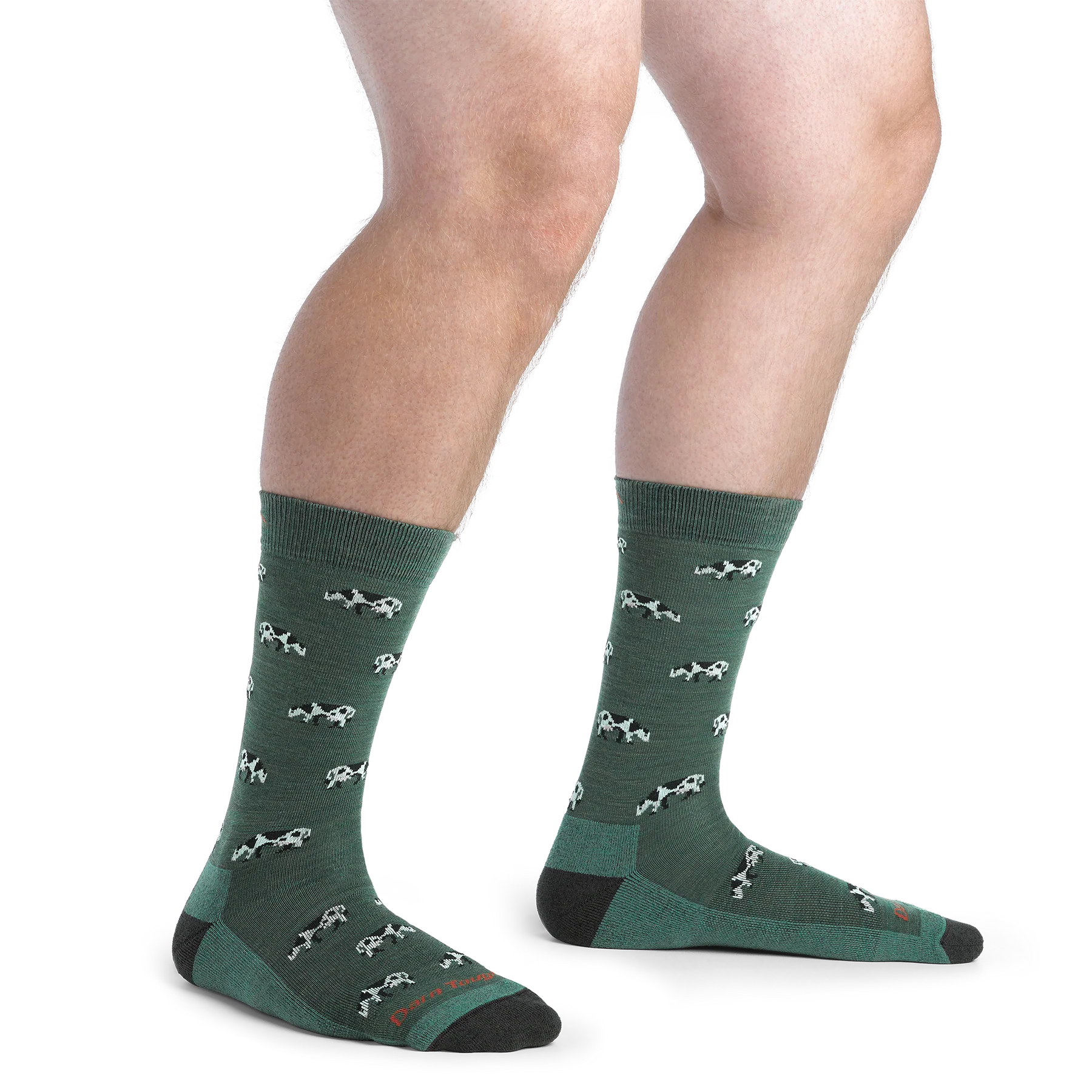MEN'S SOCKS | DAIRY AIR CREW-Socks & Footwear-DARN TOUGH-Coriander