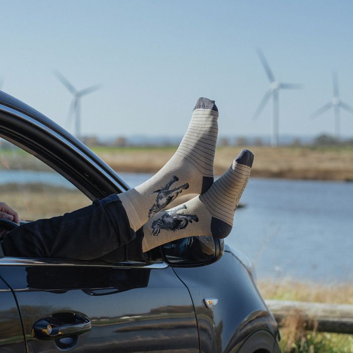 MEN'S SOCKS | WALKIES BLACK LABRADOR-Socks & Footwear-WRENDALE DESIGNS-Coriander