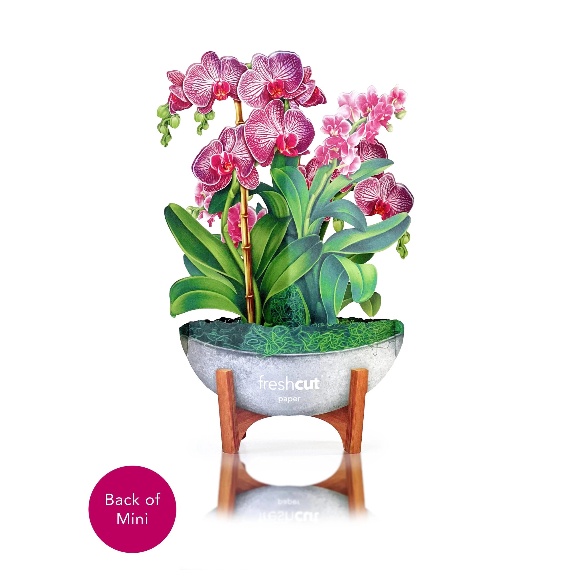 MINI POP-UP CARD | ORCHID OASIS-Books & Stationery-FRESH CUT PAPER-Coriander