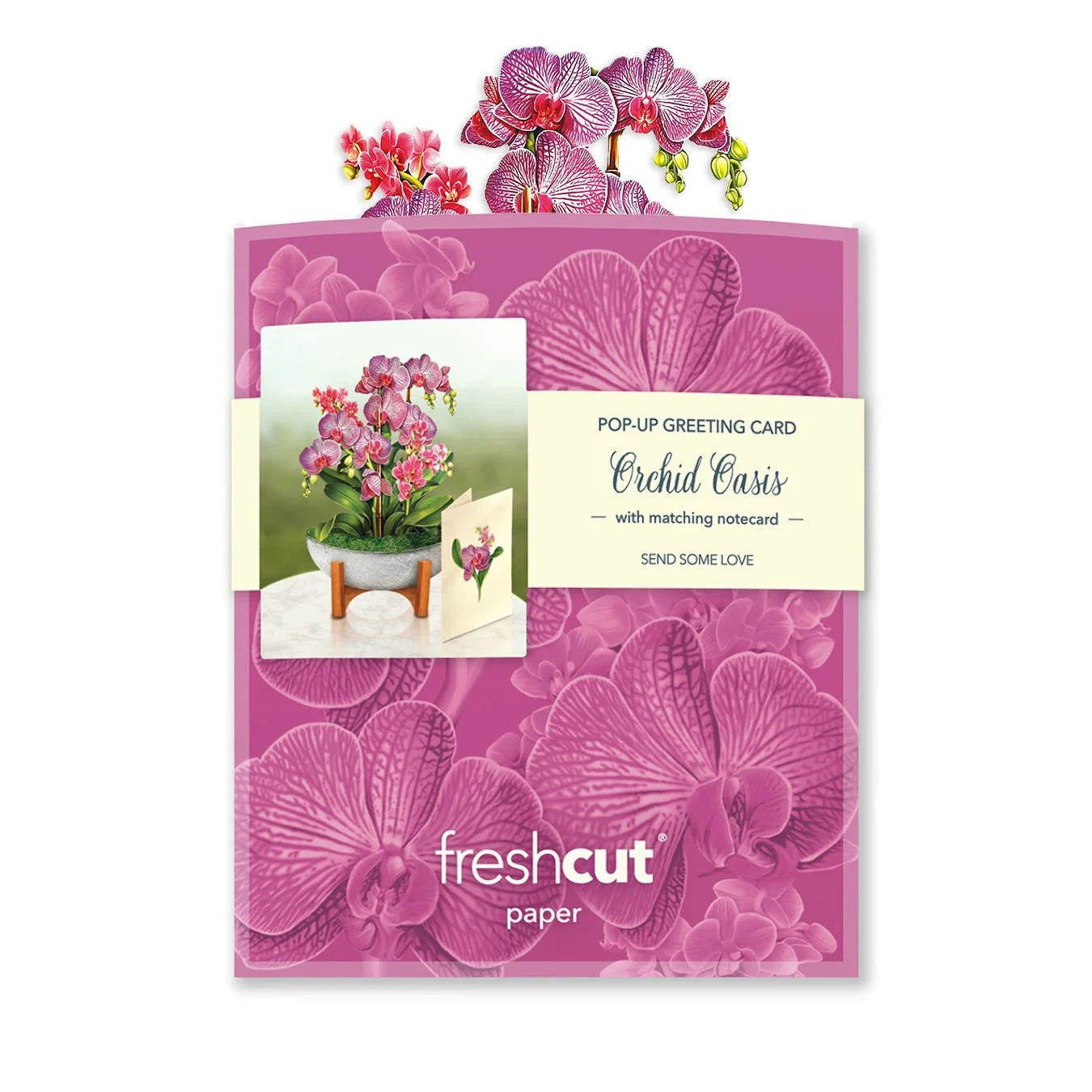MINI POP-UP CARD | ORCHID OASIS-Books & Stationery-FRESH CUT PAPER-Coriander