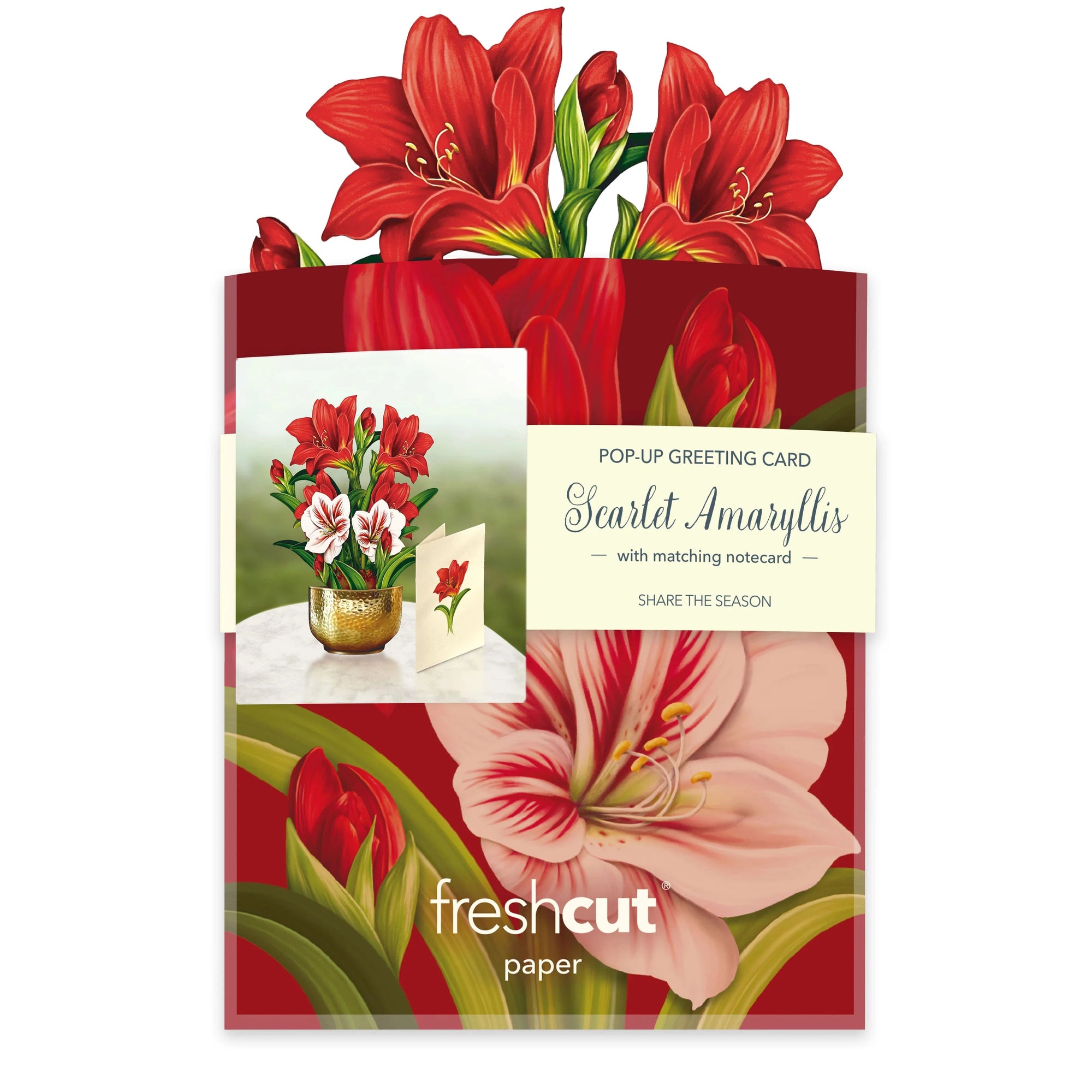 MINI POP-UP CARD | SCARLET AMARYLLIS-Books & Stationery-FRESH CUT PAPER-Coriander