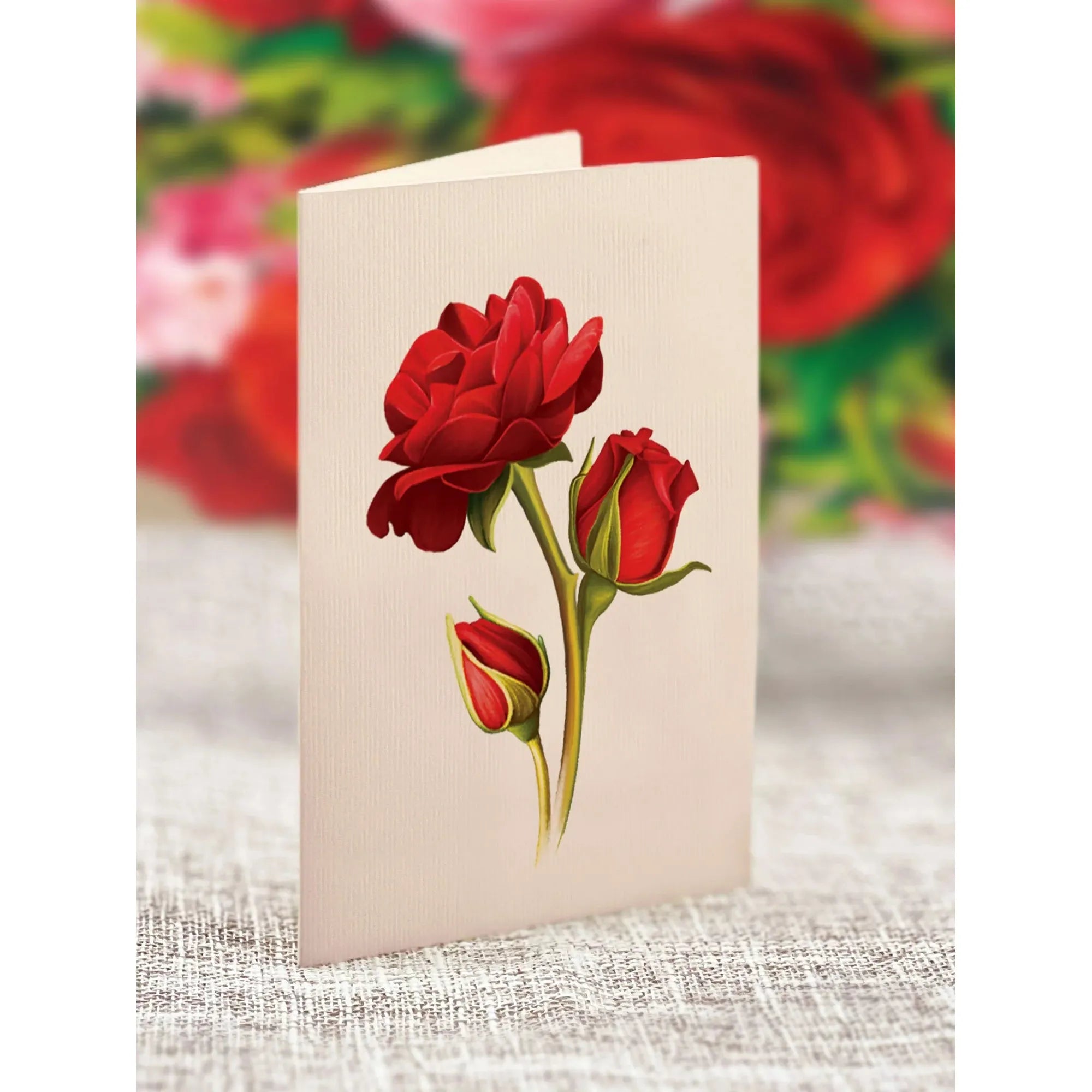POP UP CARD | MINI BLOOMING ROSES-Books & Stationery-FRESH CUT PAPER-Coriander