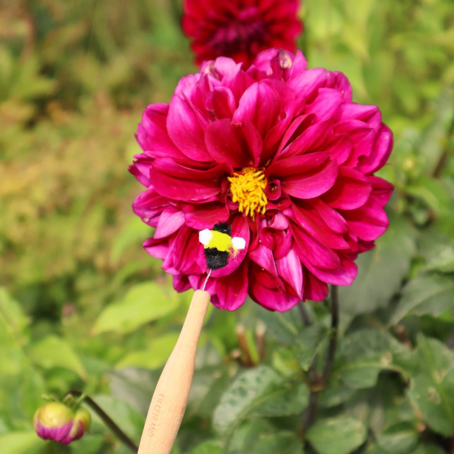 TOOL | POLLINATION WAND-Home-KIKKERLAND DESIGNS-Coriander