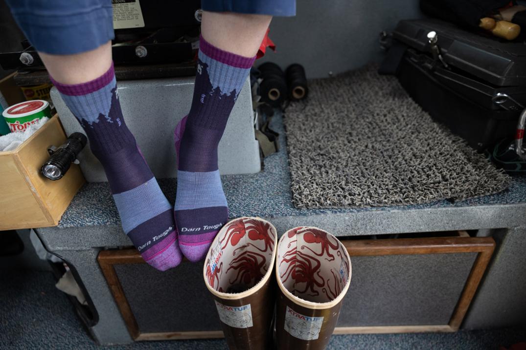 WOMEN'S SOCKS | BEAR TOWN MICRO CREW-Socks & Footwear-DARN TOUGH-Coriander