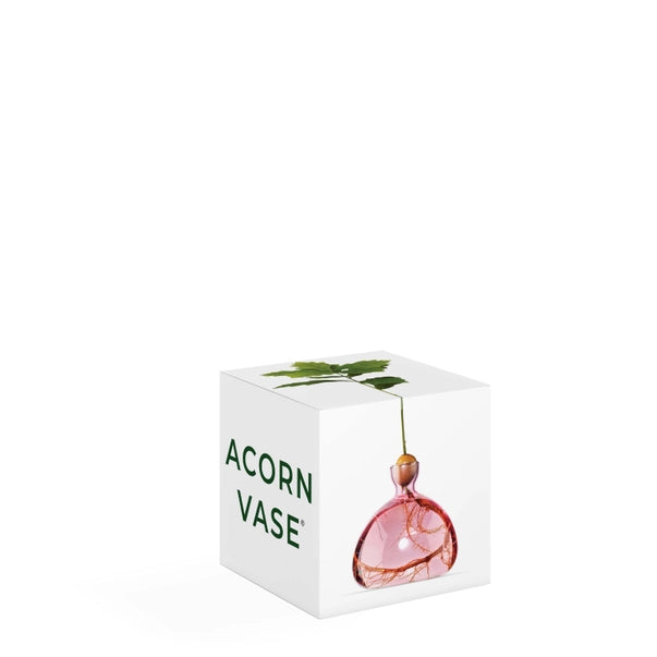 ACORN VASE | ROSE PINK