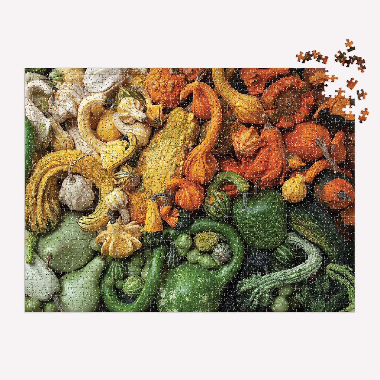 1 000 PIECE PUZZLE | GOURDS-Puzzles-RAINCOAST-Coriander