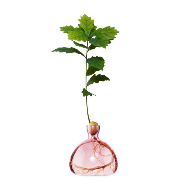 ACORN VASE | ROSE PINK