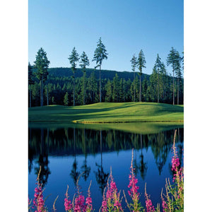 150 GOLF COURSES YOU NEED TO VISIT-Books & Stationery-NATIONAL BOOK NETWORK-Coriander