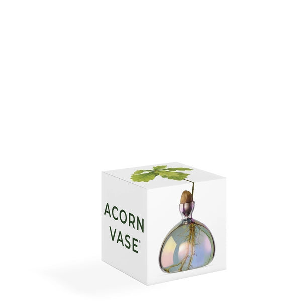 ACORN VASE | COSMIC VEGA