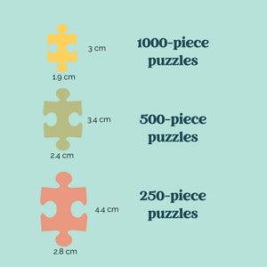 250 PIECE PUZZLE | NEIGHBOURHOOD RINK-Puzzles and Such-VILLAGER PUZZLES-Coriander