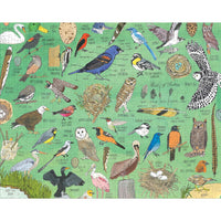 500 PC PUZZLE | NATURE ANATOMY: BIRDS-Puzzle-HACHETTE BOOK GROUP-Coriander