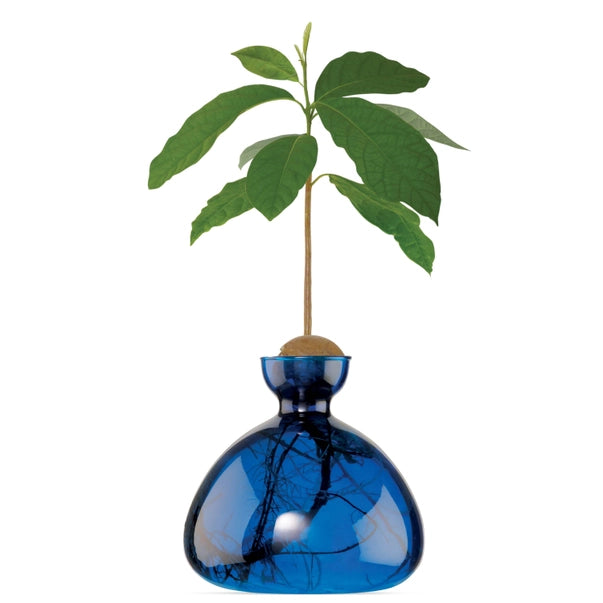 AVOCADO VASE | LAPIS BLUE