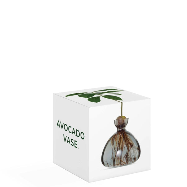 AVOCADO VASE | SMOKE GREY