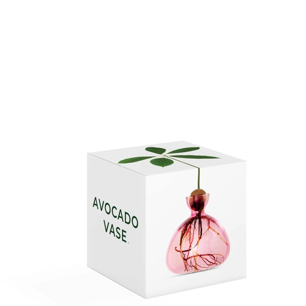 AVOCADO VASE | ROSE PINK