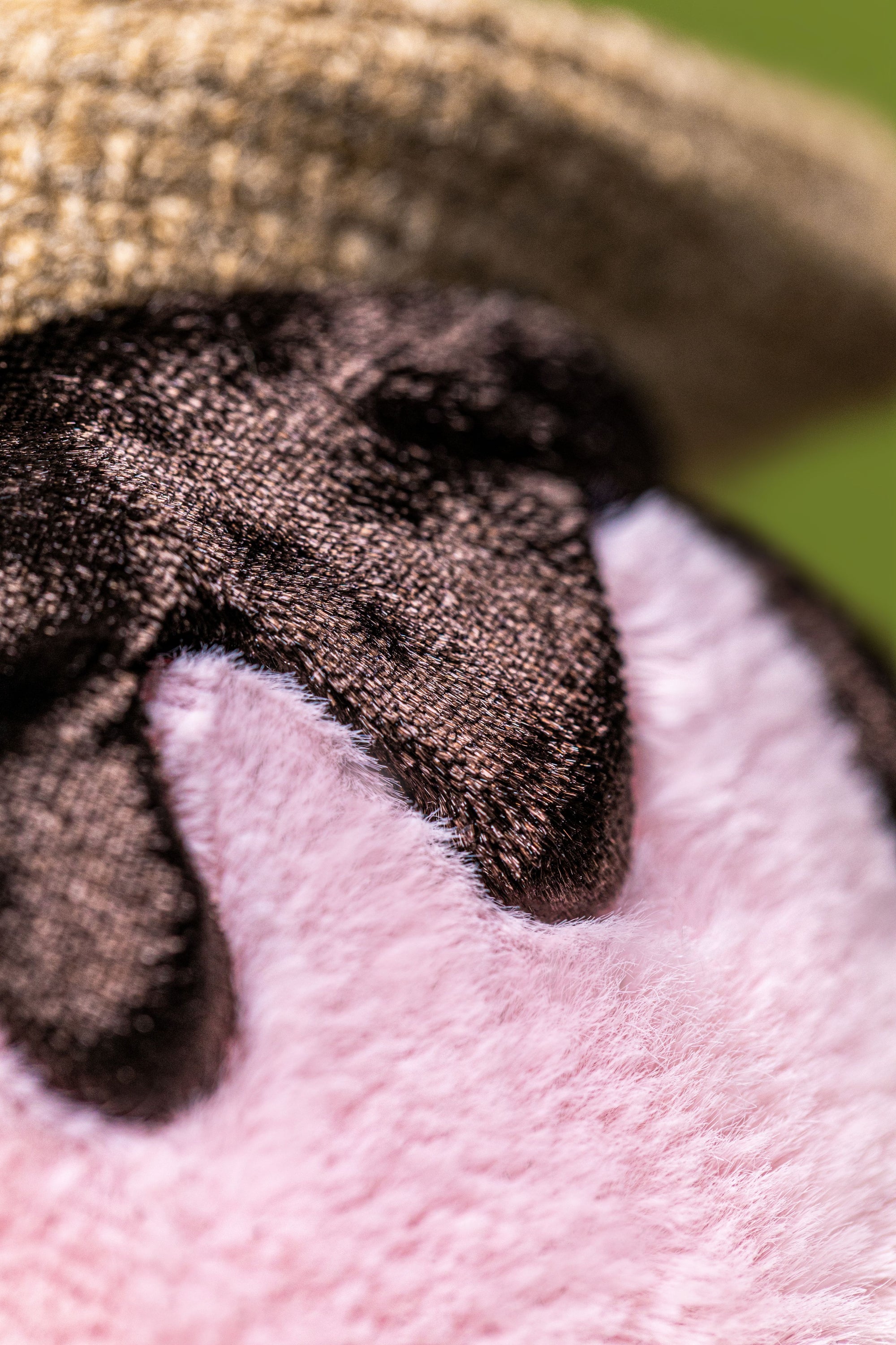 JELLYCAT | AMUSEABLES S'MORES