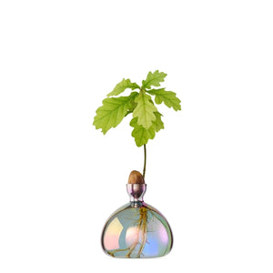 ACORN VASE | COSMIC VEGA-Home-ILEX STUDIOS-Coriander