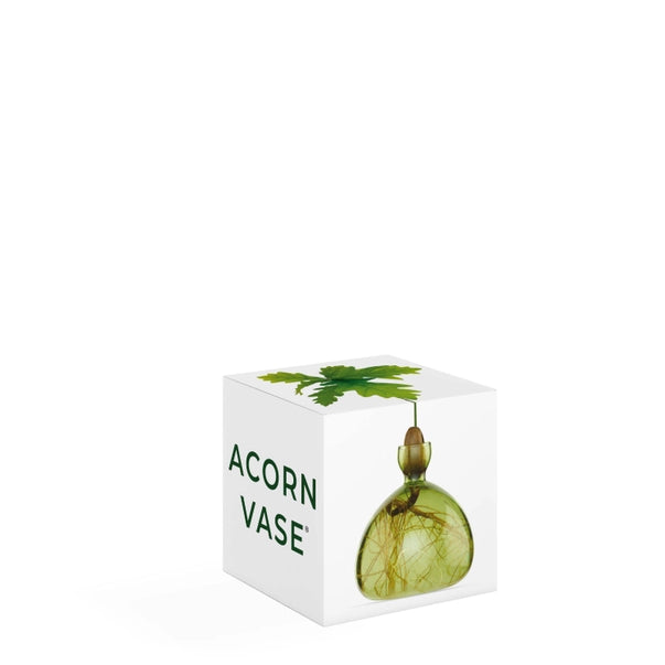 ACORN VASE | GRASS GREEN-Home-ILEX STUDIOS-Coriander