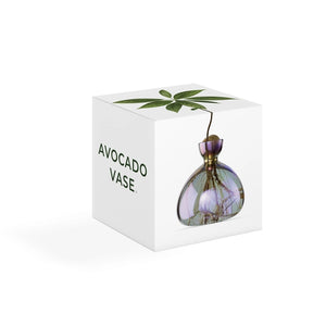 AVOCADO VASE | COSMIC VEGA-Home-ILEX STUDIOS-Coriander