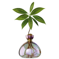 AVOCADO VASE | COSMIC VEGA-Home-ILEX STUDIOS-Coriander