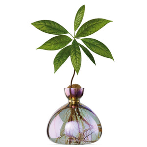 AVOCADO VASE | COSMIC VEGA-Home-ILEX STUDIOS-Coriander