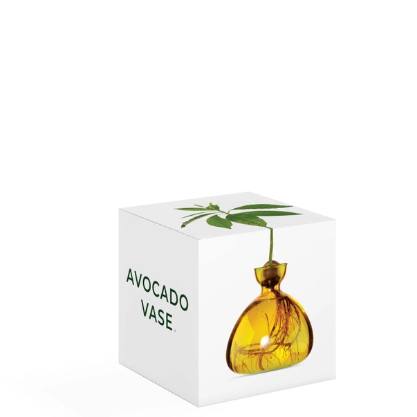 AVOCADO VASE | MELLOW YELLOW-Home-ILEX STUDIOS-Coriander