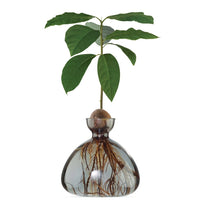 AVOCADO VASE | SMOKE GREY-Home-ILEX STUDIOS-Coriander