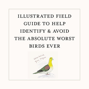 BOOK | A DUMB BIRDS FIELD GUIDE TO THE WORST BIRDS EVER-Books & Stationery-RAINCOAST-Coriander