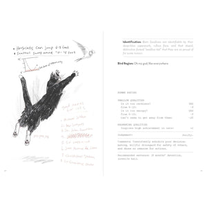 BOOK | A DUMB BIRDS FIELD GUIDE TO THE WORST BIRDS EVER-Books & Stationery-RAINCOAST-Coriander