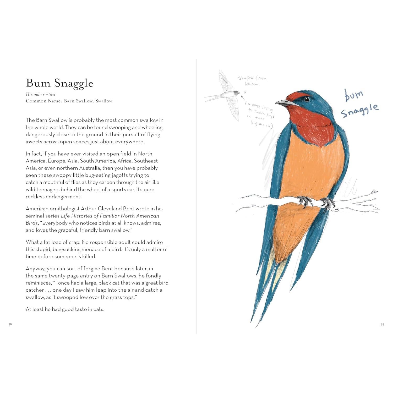 BOOK | A DUMB BIRDS FIELD GUIDE TO THE WORST BIRDS EVER-Books & Stationery-RAINCOAST-Coriander