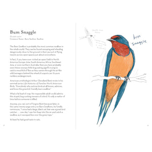 BOOK | A DUMB BIRDS FIELD GUIDE TO THE WORST BIRDS EVER-Books & Stationery-RAINCOAST-Coriander