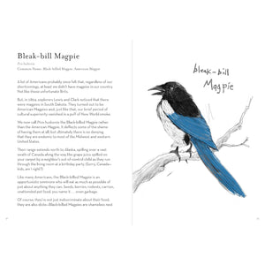 BOOK | A DUMB BIRDS FIELD GUIDE TO THE WORST BIRDS EVER-Books & Stationery-RAINCOAST-Coriander