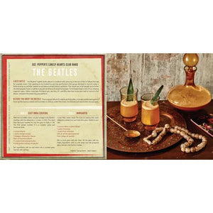 BOOK | BOOZE & VINYL: A SPIRITED GUIDE TO GREAT MUSIC AND MIXED DRINKS-Books & Stationery-HACHETTE BOOK GROUP-Coriander