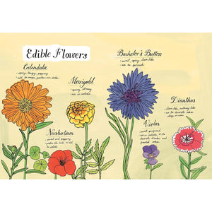 BOOK | FARM ANATOMY-Books & Stationery-HACHETTE BOOK GROUP-Coriander