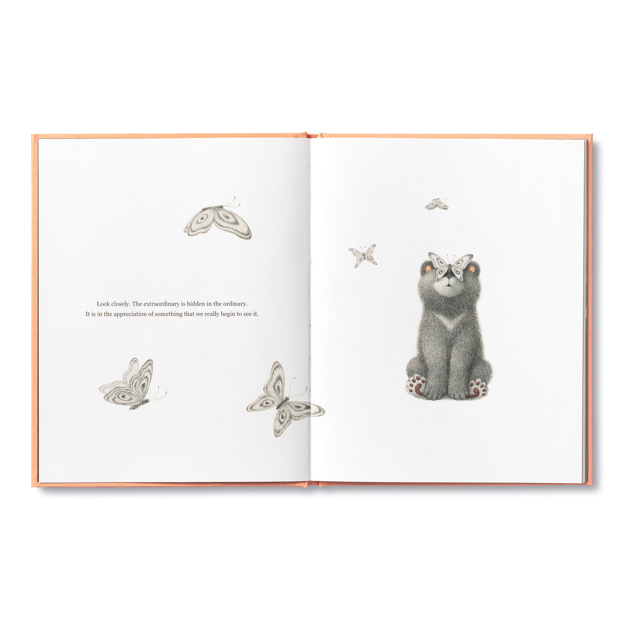 BOOK | FEELING GRATEFUL-Book-COMPENDIUM-Coriander