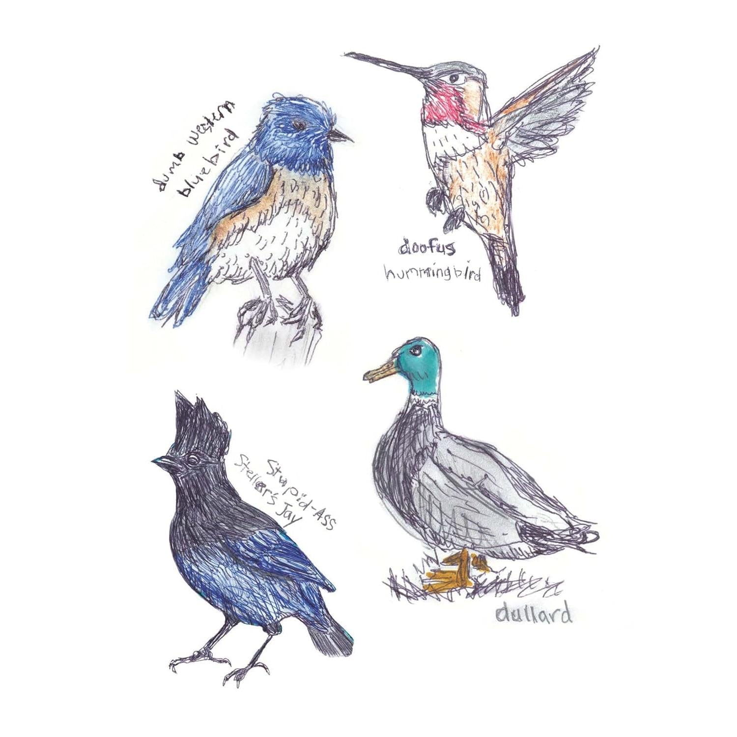 BOOK | FIELD GUIDE TO DUMB BIRDS STICKER-Books & Stationery-RAINCOAST-Coriander