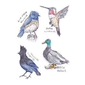 BOOK | FIELD GUIDE TO DUMB BIRDS STICKER-Books & Stationery-RAINCOAST-Coriander