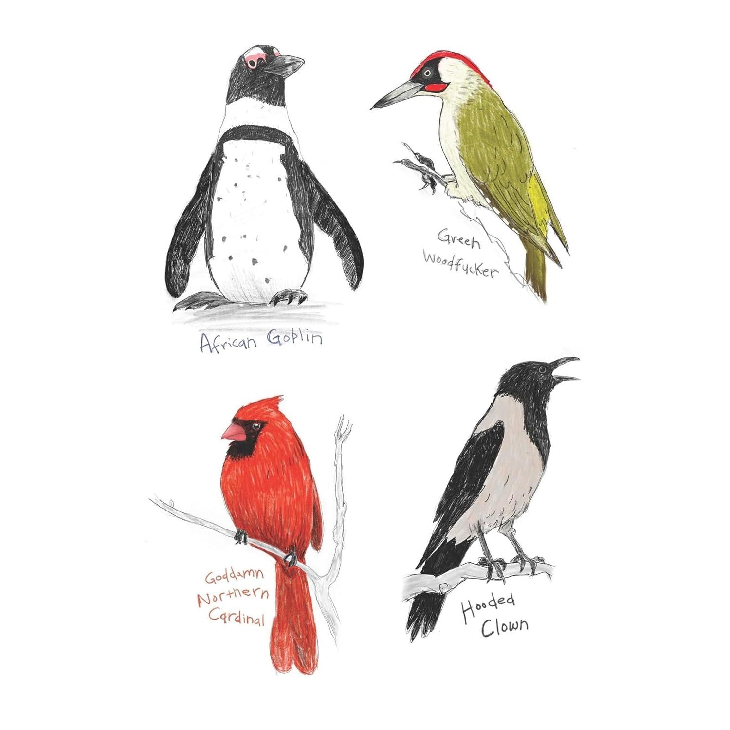BOOK | FIELD GUIDE TO DUMB BIRDS STICKER-Books & Stationery-RAINCOAST-Coriander