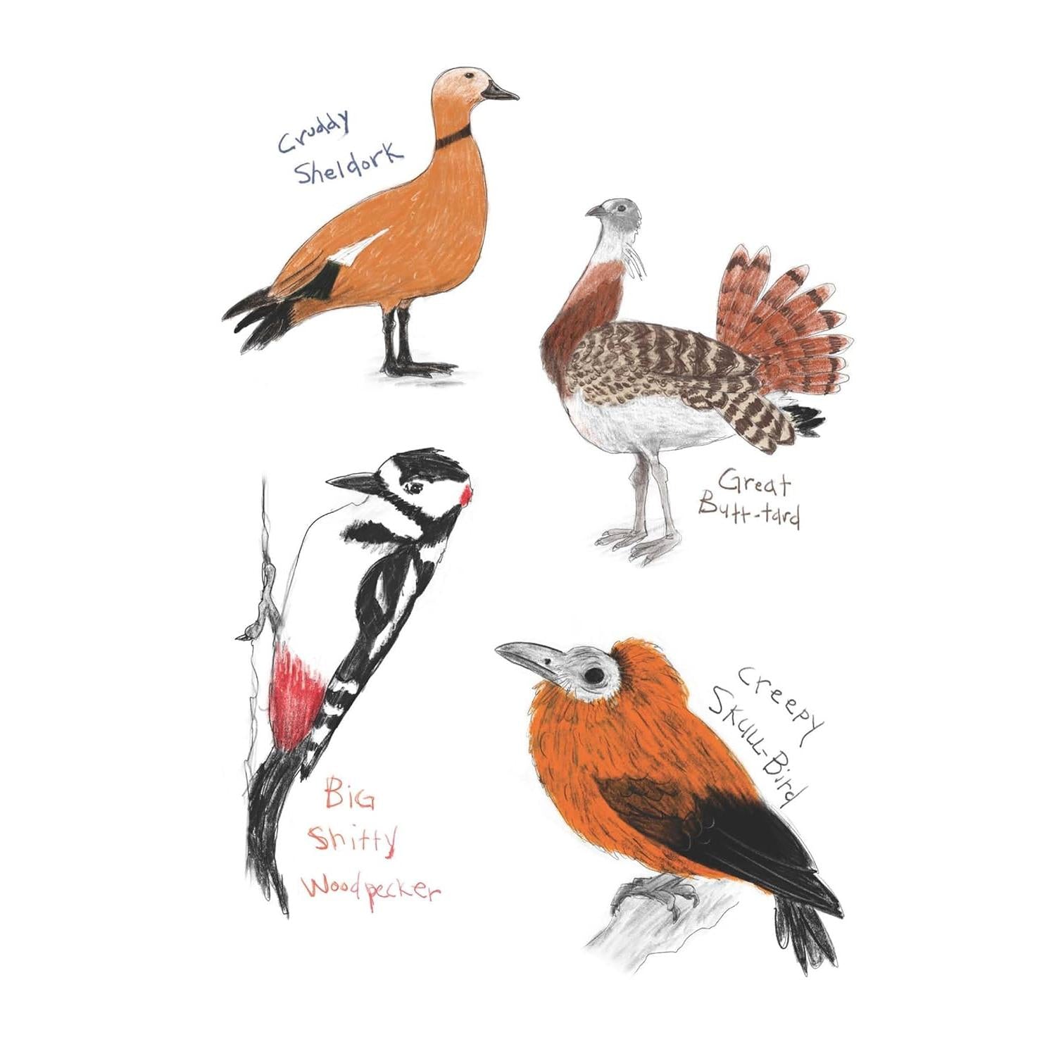 BOOK | FIELD GUIDE TO DUMB BIRDS STICKER-Books & Stationery-RAINCOAST-Coriander