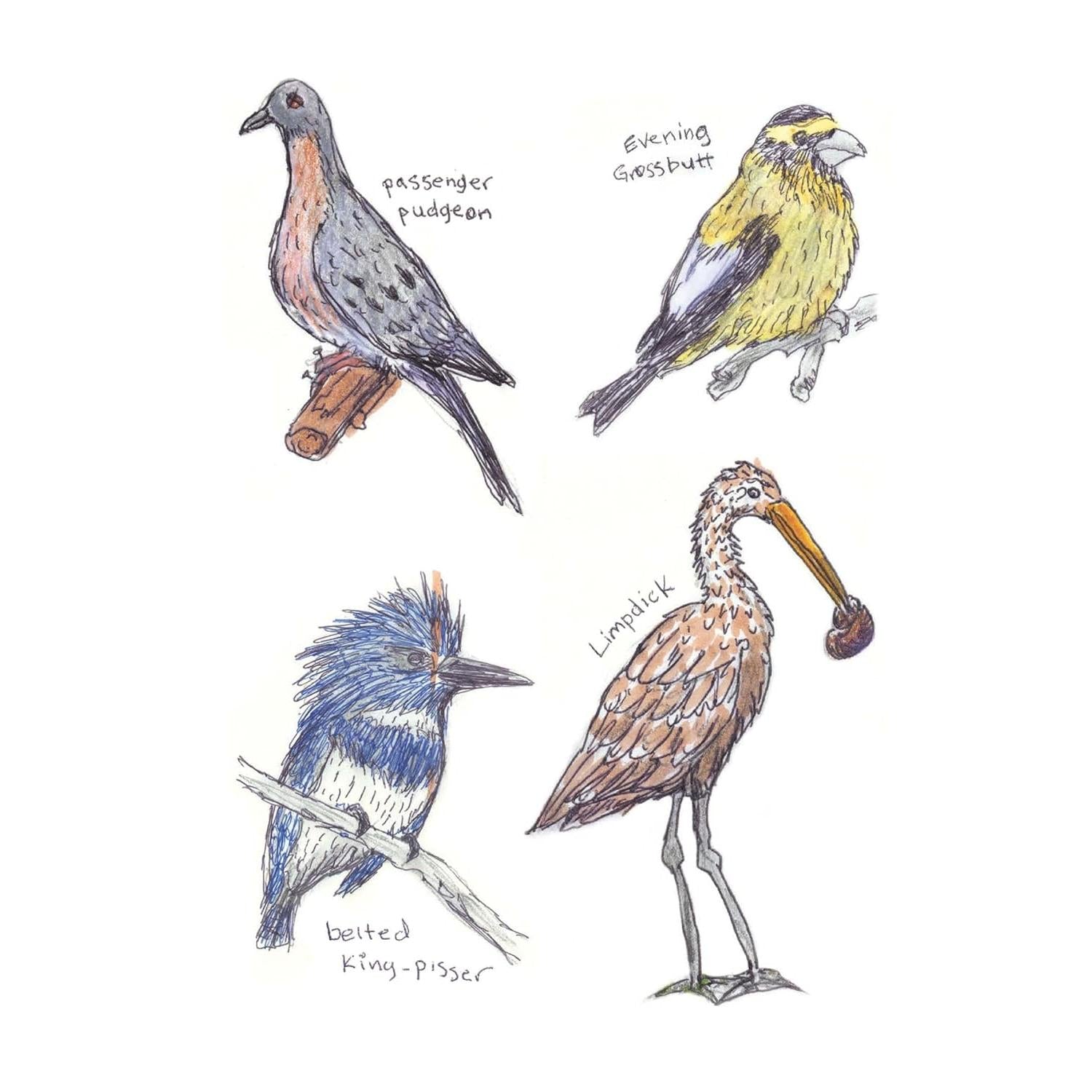 BOOK | FIELD GUIDE TO DUMB BIRDS STICKER-Books & Stationery-RAINCOAST-Coriander