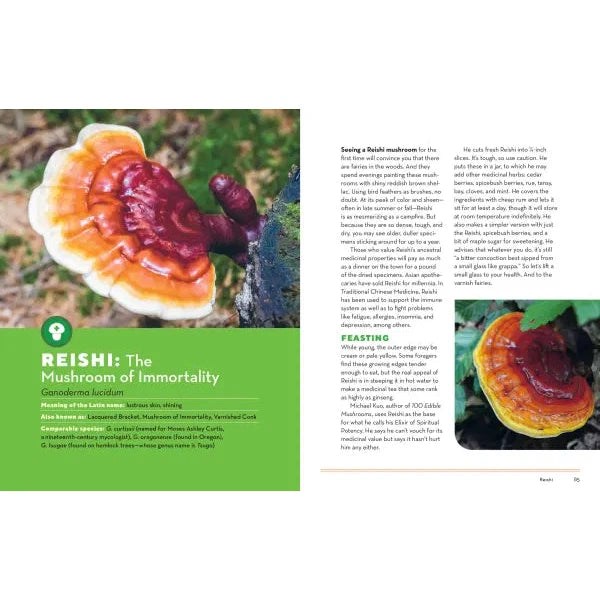 BOOK | HOW TO FORAGE FOR MUSHROOMS-Books & Stationery-HACHETTE BOOK GROUP-Coriander