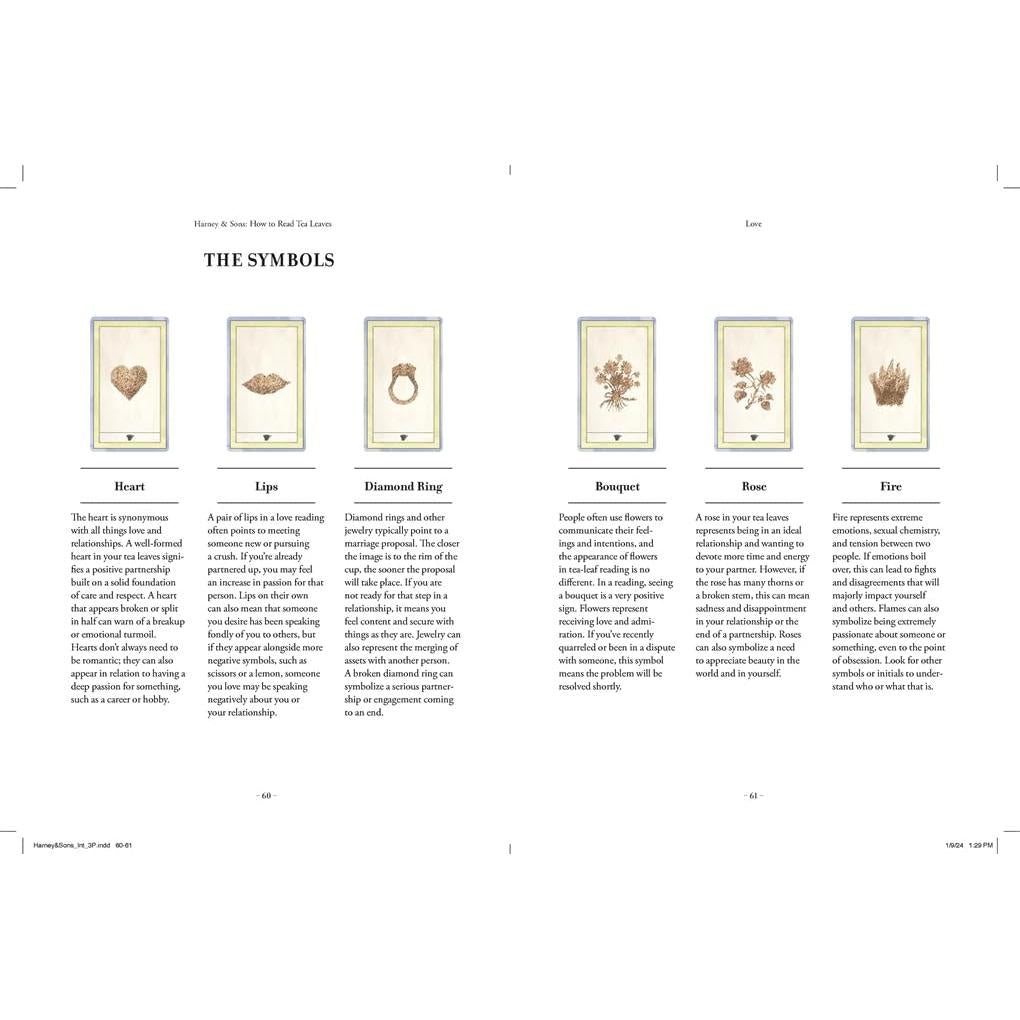 BOOK | HOW TO READ TEA LEAVES DECK & GUIDEBOOK-Books & Stationery-HACHETTE BOOK GROUP-Coriander